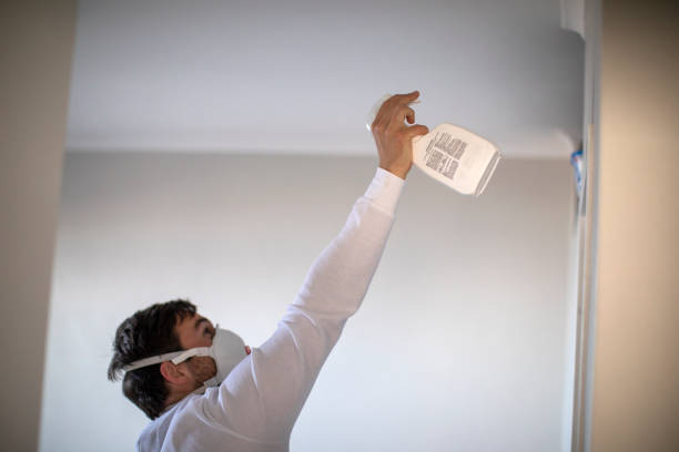 Best Mold Testing and Removal  in Rio Dell, CA