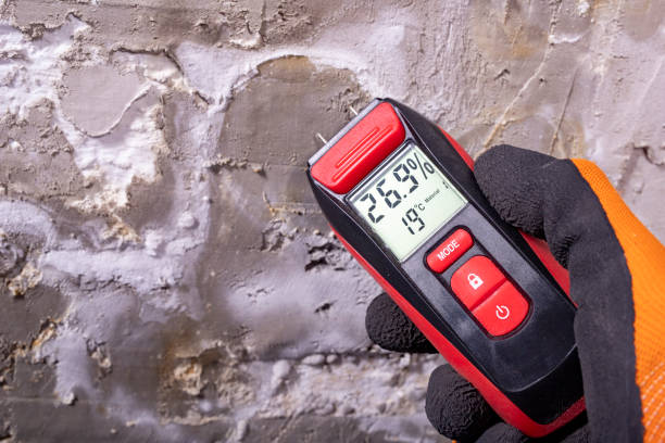 Best Mold Removal Near Me  in Rio Dell, CA