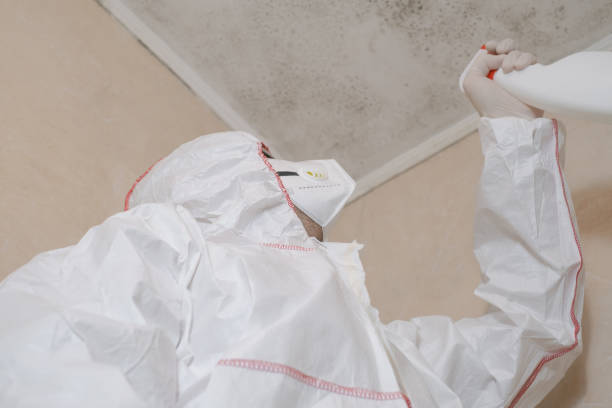Best Residential Mold Removal  in Rio Dell, CA