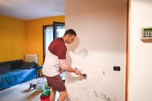 Best Home Mold Removal  in Rio Dell, CA